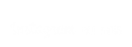 Insta partner.png