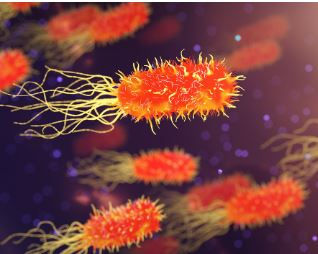 Si crees tener la bacteria Helicobacter pylori, este artículo es para tí.