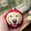 Thumbnail: Custom Pet Christmas Bauble