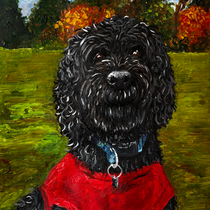 Dougal the dug
