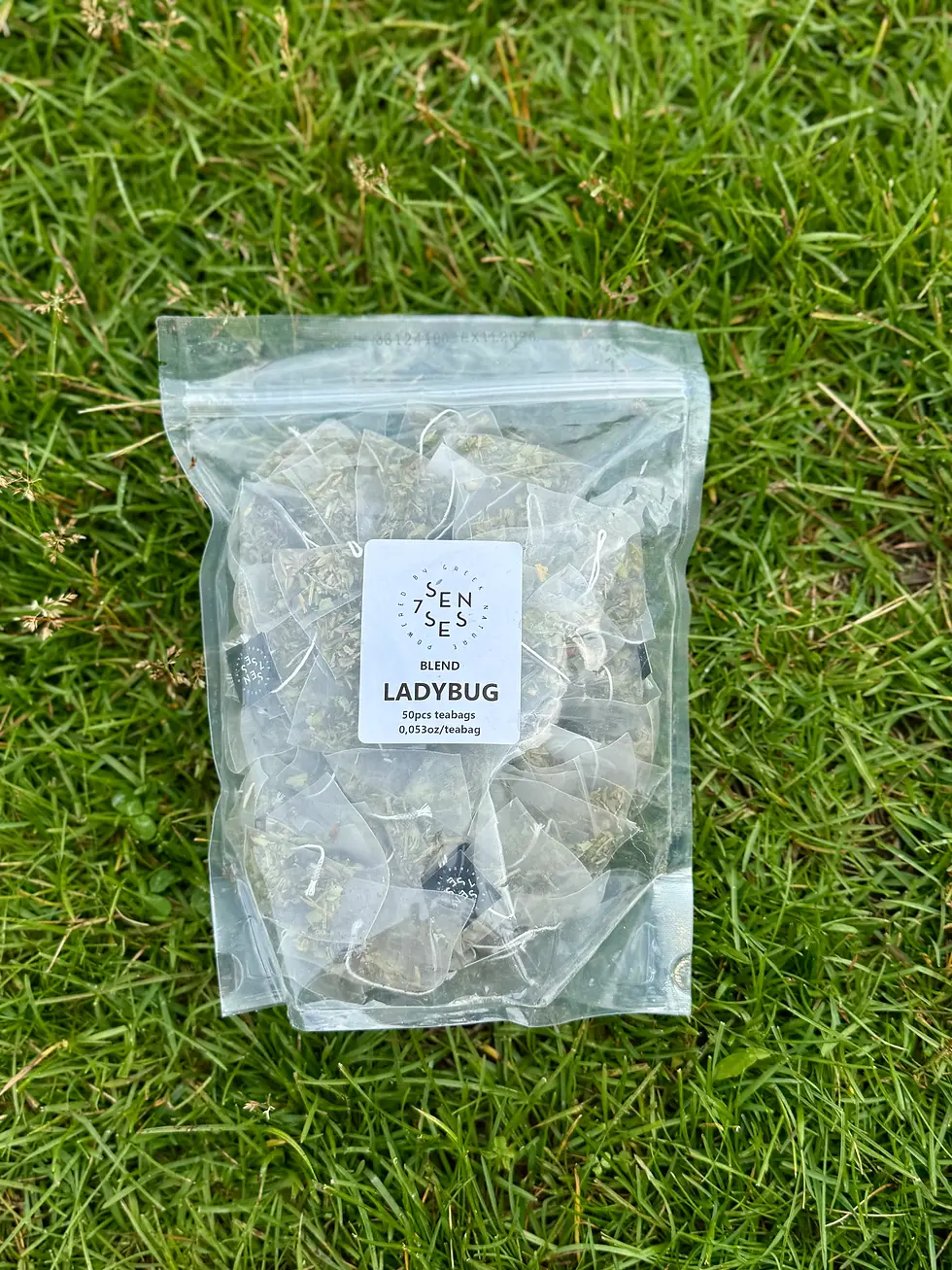 Thumbnail: Ladybug tea premium bags