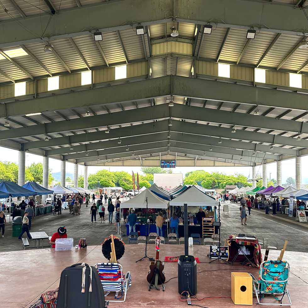 Marv Teixeira Pavilion at Mills Park, hosting concerts,