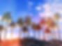 3d-render-palm-tree-landscape.jpg