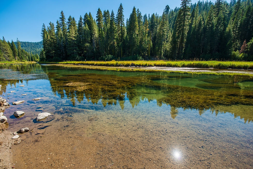 The Truckee River. Endless Fishing and Rafting opportunities!