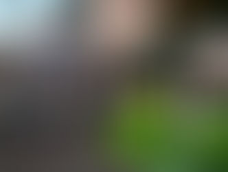 Targeted by politicians, trans youth struggle with growing fear and mental health concerns