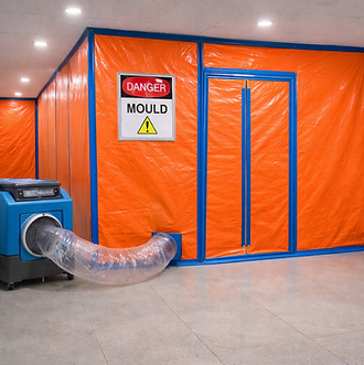 Mould Abatement.png