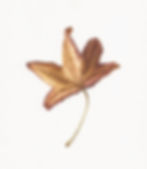 Finished Autumn Leaf