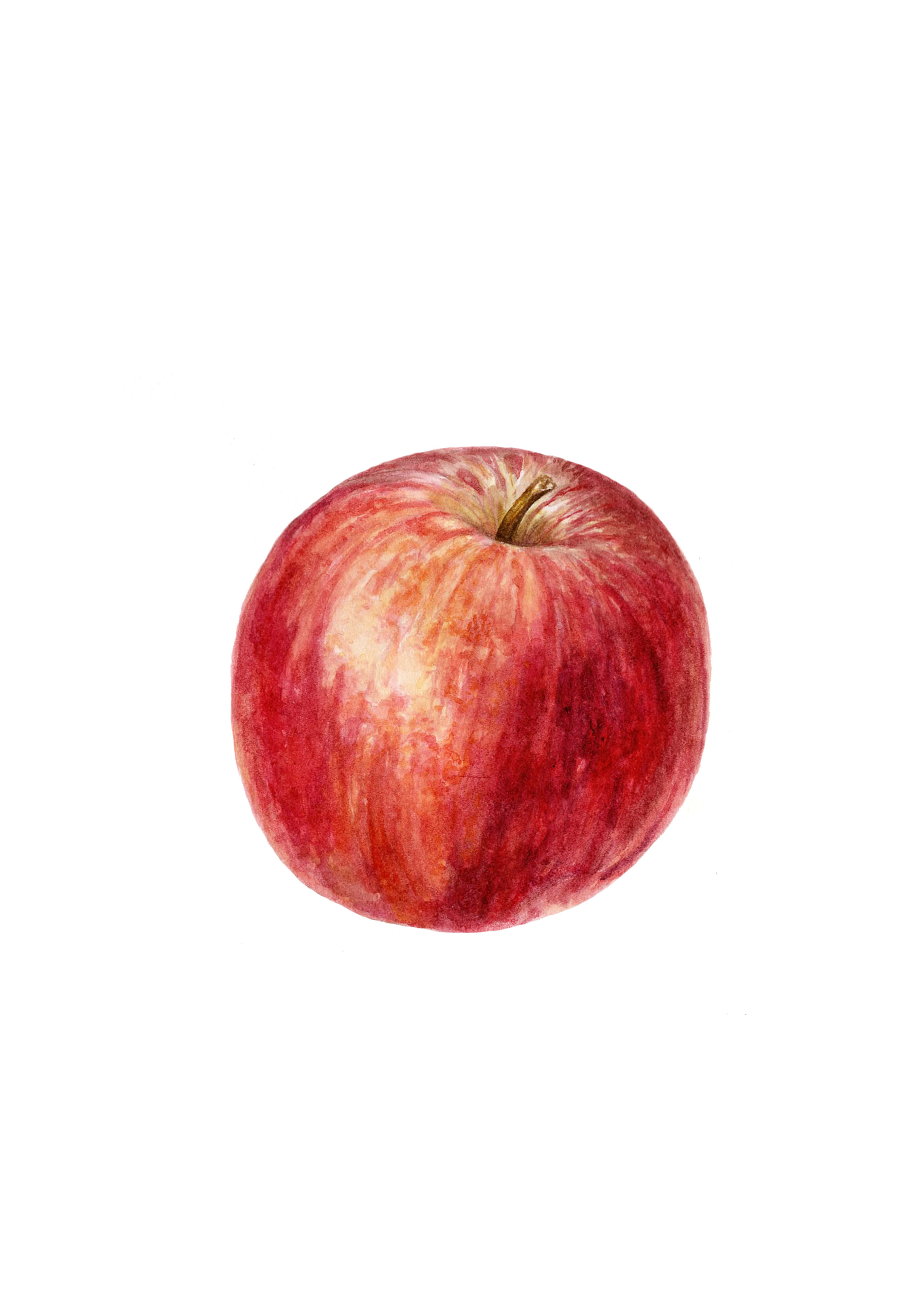 Apple Giclée Print