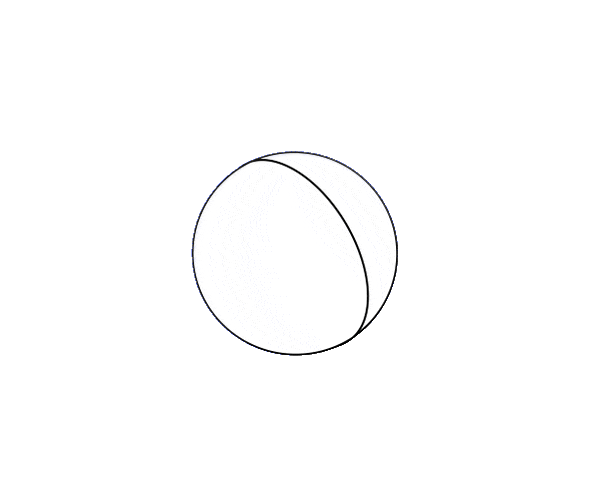 okto_illustration_tr_optimized.gif