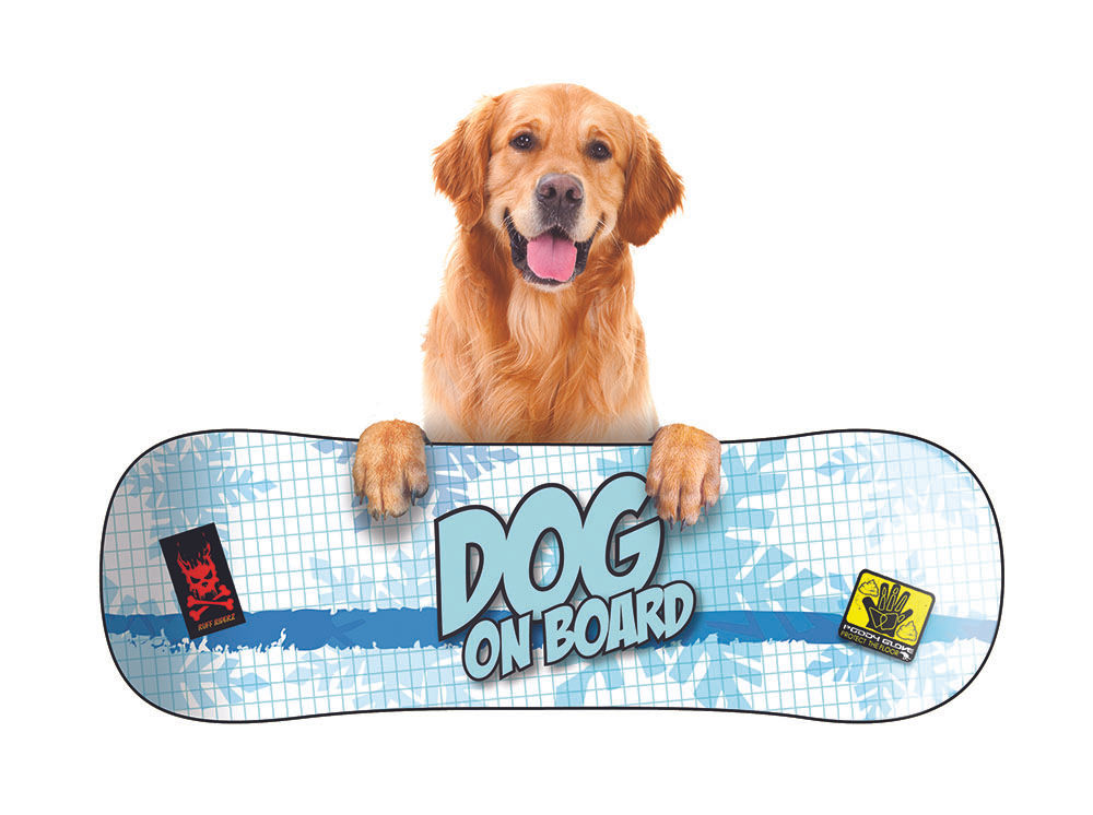 Golden Retriever Snow