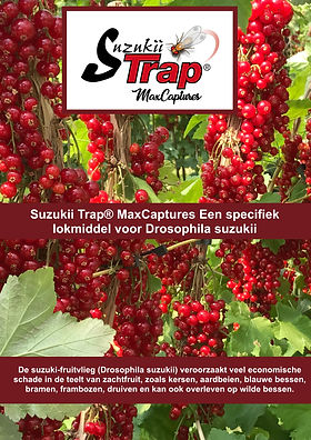 SuzukiiTrap NL - Untitled Page.jpeg