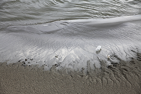 IMG_0928-04-Baie-de-Somme