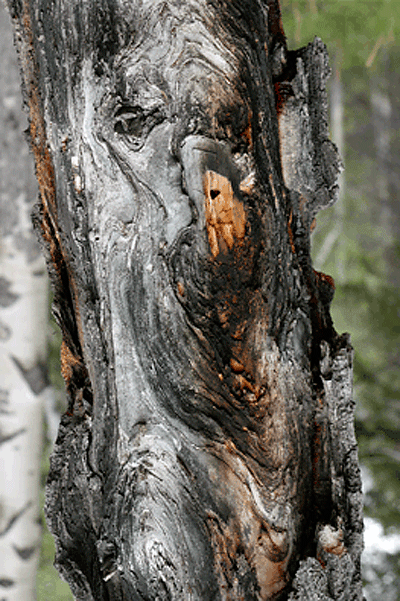 IMG_4216-19x28,5-270dpi