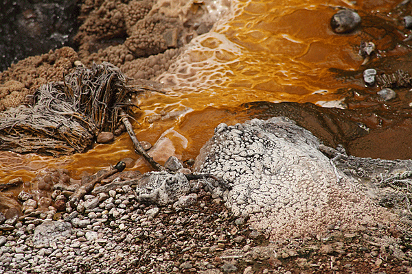 IMG_5884-NZ-vallée-volcanique-de-Waimangu