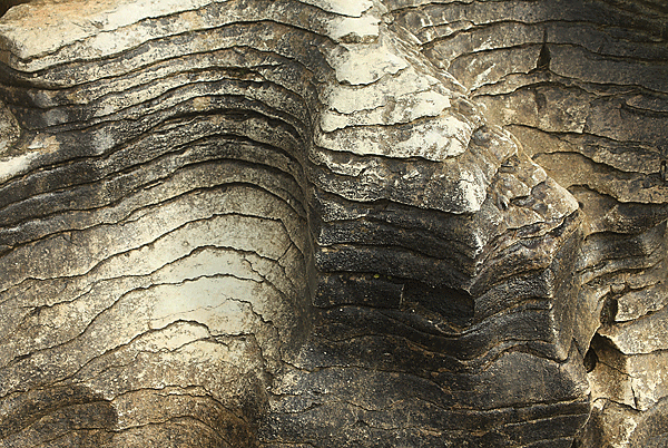 IMG_4925-NZ-Punakaiki-Pancake-détail-roche