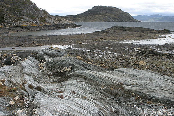IMG_5111-AR-Ushuaia-parque-nacional-tierra-del-fuego