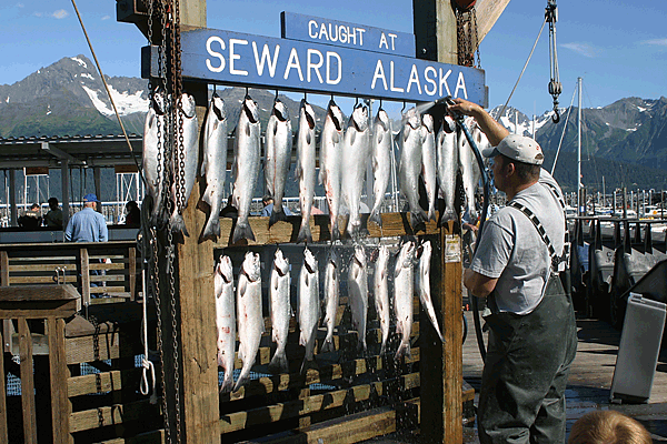IMG_8198-10D-Alaska