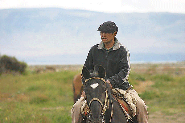 IMG_7285-AR--El-Calafate-chevaux