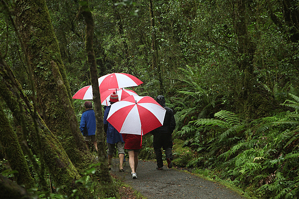 IMG_4360-NZ-vers-Milford-Sound-parapluies