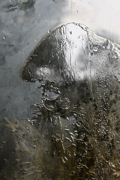 IMG_2356-06-traité.gif