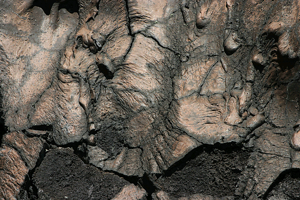 IMG_11703--Big-Island--Iki-Crater