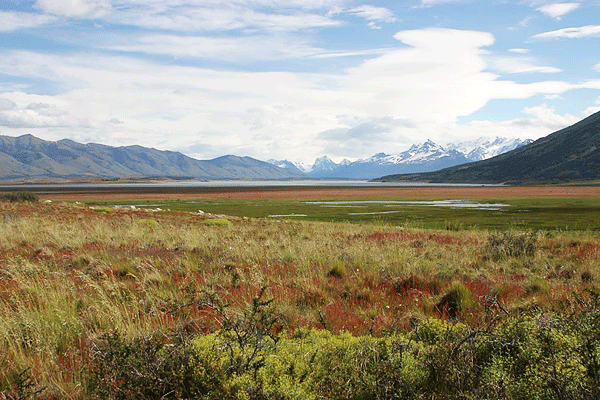 IMG_7254-AR--El-Calafate-Ruta-60