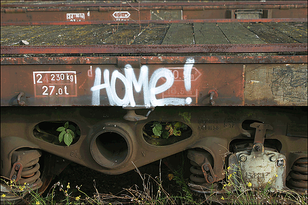 IMG_10421-28x42-300dpi-train-home