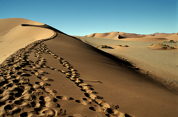 Namibie078b