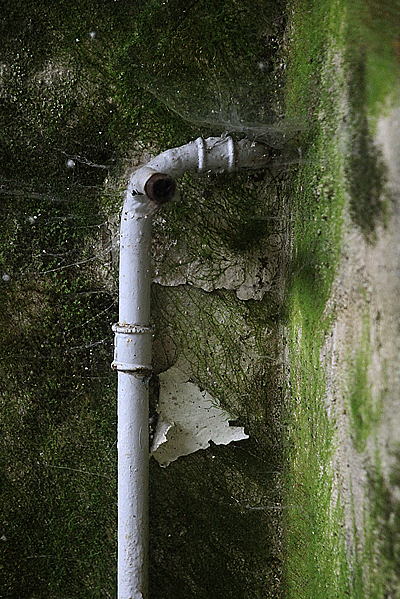 IMG_8530-03-19x28,5-270dpi+cadre