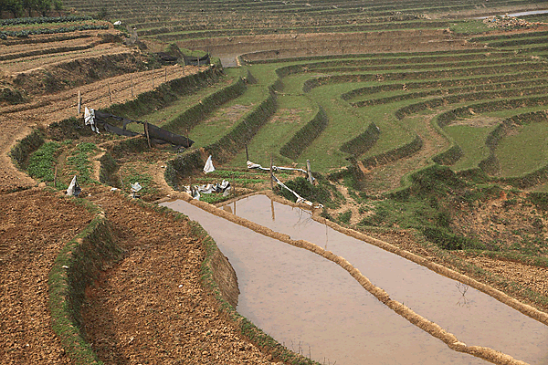 IMG_5698-VNM-Environs-de-Sapa