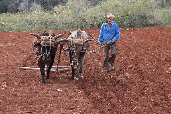 IMG_1440-05-Cuba-Vinales