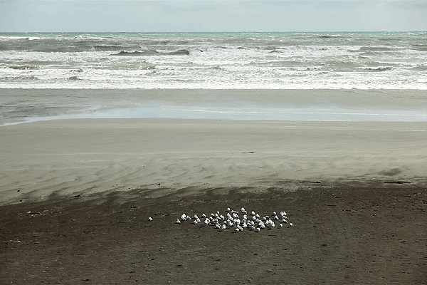IMG_4989-NZ-19x28,5-270-dpi-+-cadre-mer