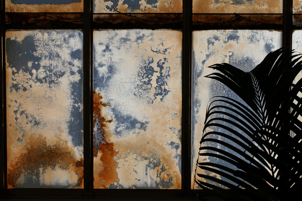IMG_4121-06-traité.gif