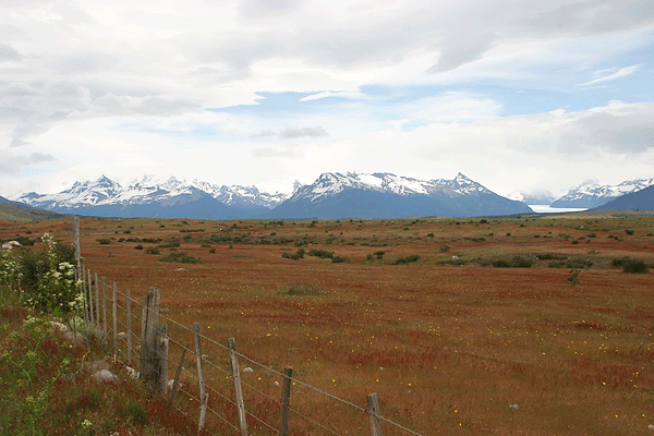 IMG_7176-AR--El-Calafate-Ruta-15
