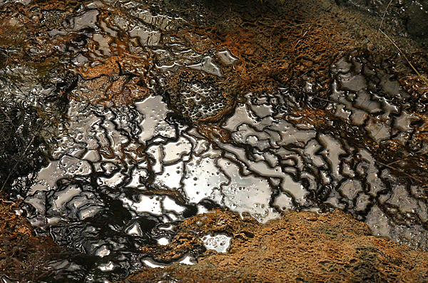 IMG_5941-NZ-vallée-volcanique-de-Waimangu