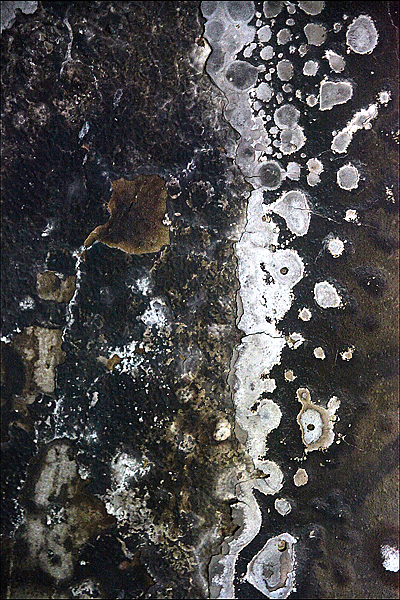 IMG_8839-03-19x28,5-270dpi-+-cadre