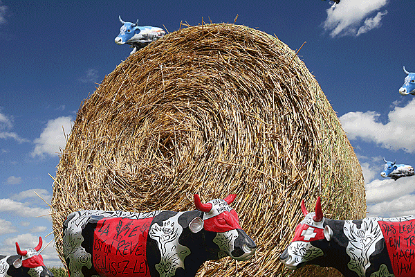 IMG_0790-+-9084-+-9098-19x28,5-270dpi-+-cadre-sommet-agricole