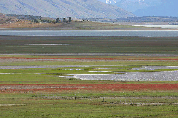 IMG_7246-AR--El-Calafate-Ruta-60
