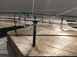 15747381_1259741864061455_600591634654128271_n