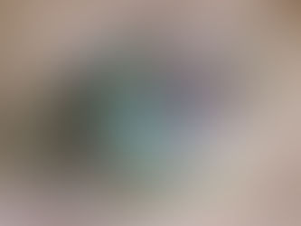 An Eye on the Future: Managing Uncertainty of the Future in the Age      of Constant Change