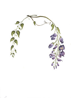 Floral Wreath