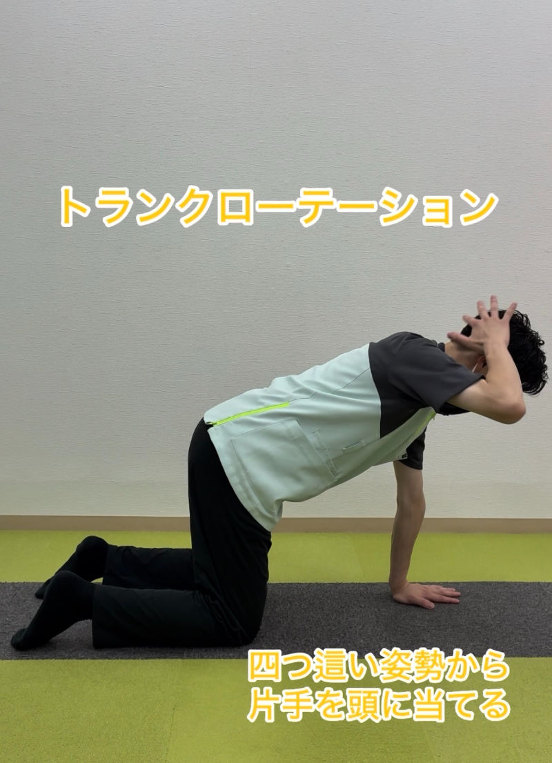 ◆背骨の柔軟性up!姿勢改善にも効果的!