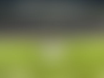 ◆サッカー観戦