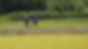 melos_sub6.jpg