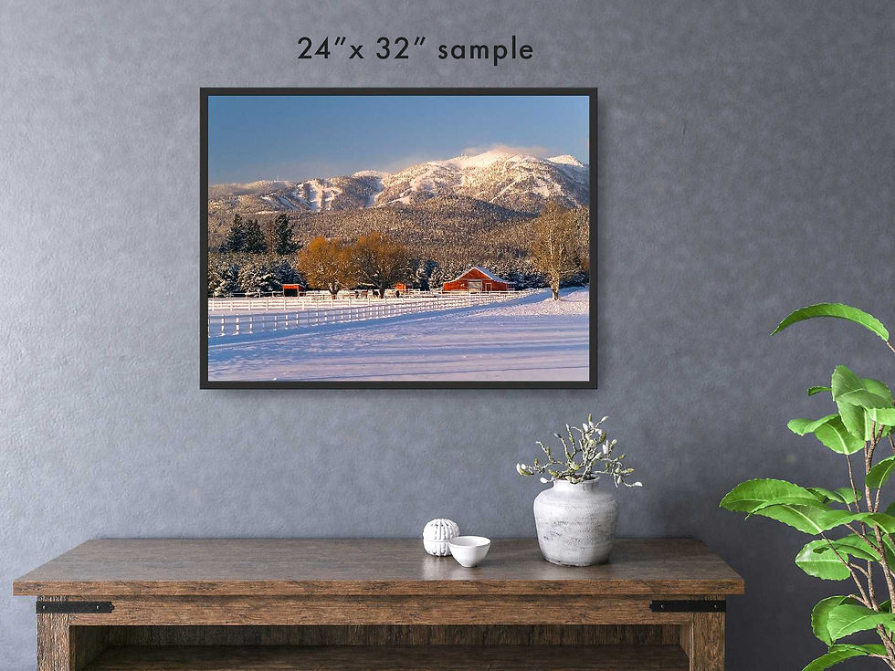 Thumbnail: Sample of the photograph in a room