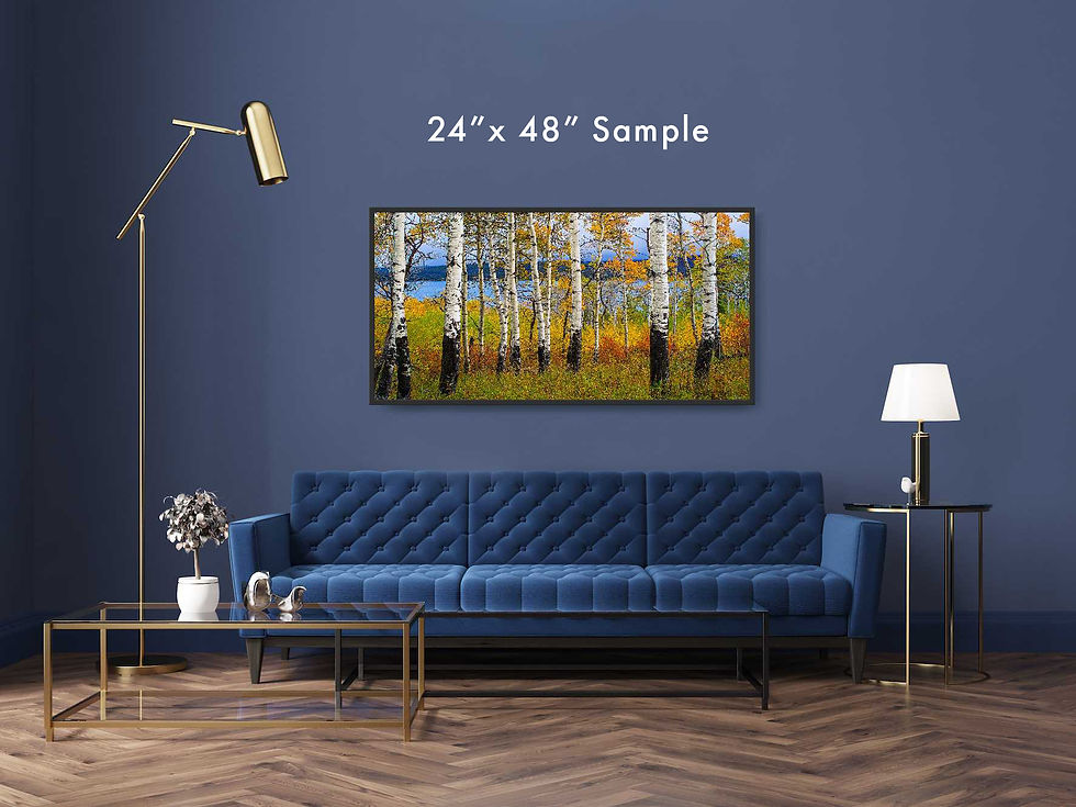 Thumbnail: Sample of the photograph in a room