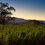 Thumbnail: Wine Country Sunset