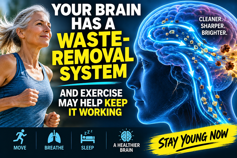 Your Brain Has a Waste-Removal System—and Exercise May Help Keep It Working