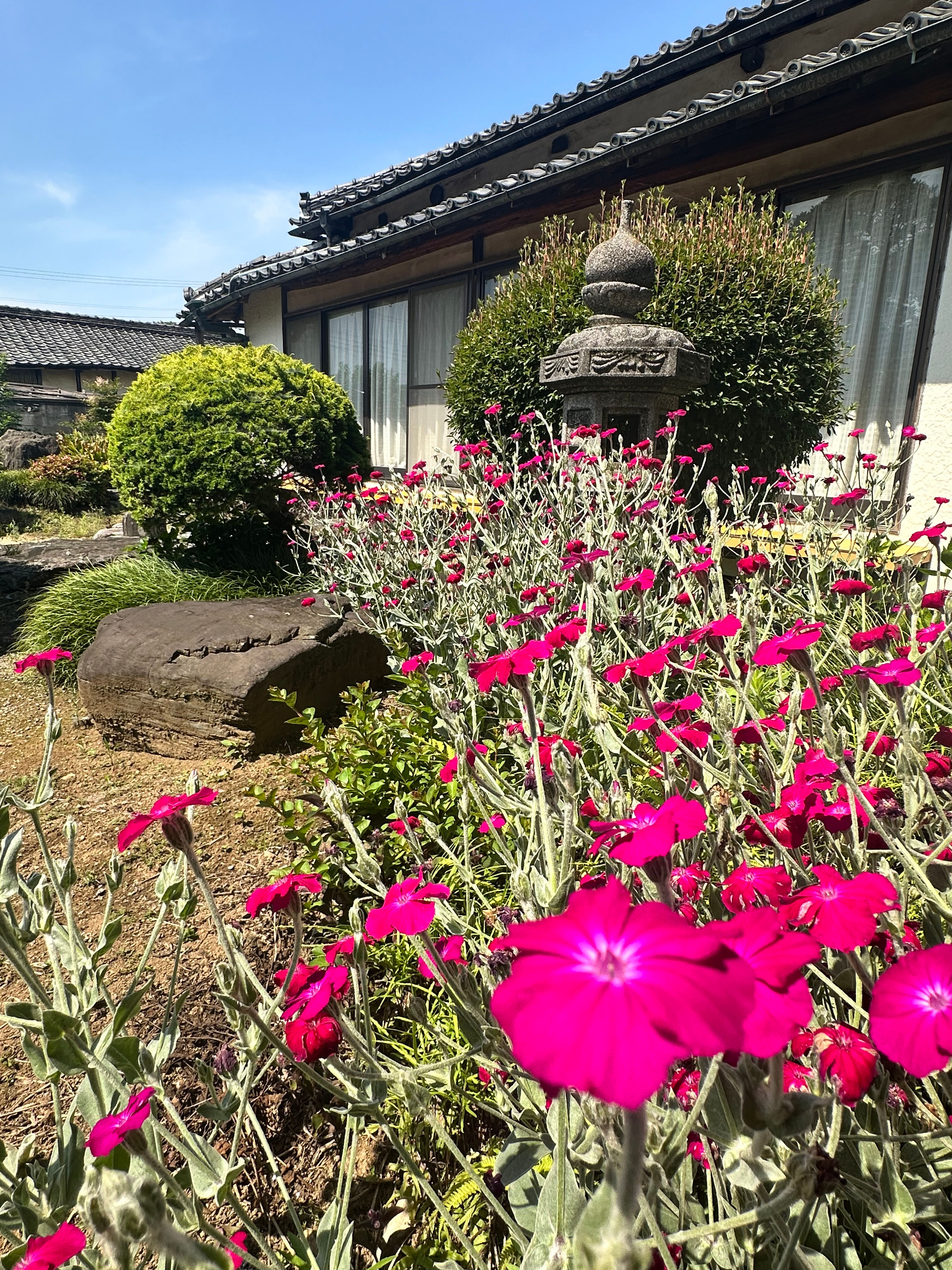 Archaic Japanese House