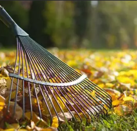 raking.png